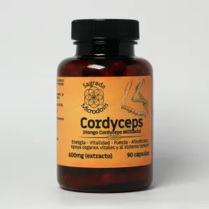 Cordyceps (Extracto 1.1) 600mg - 100 cápsulas